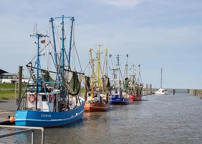 شقة Achtern Diek 2-23 دورم نيوفيلد